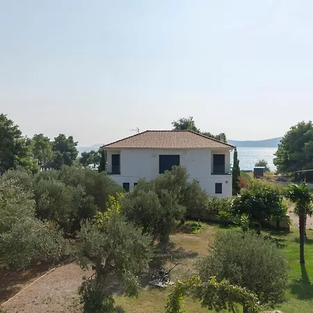 Apartman And On The *