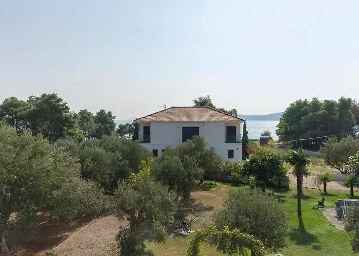 Apartamento And On The *